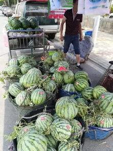 富县网红吃瓜事件,揭秘网络舆论的风暴与真相