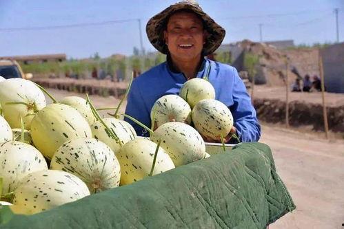 吃瓜群众在线吃瓜网,揭秘娱乐圈幕后故事